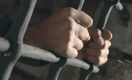 Після тривалої гонитви фермери затримали злодіїв, які скоїли злочин у Братському районі