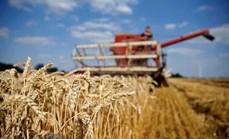 Сільгоспвиробництво з початку року зросло на 3.4%