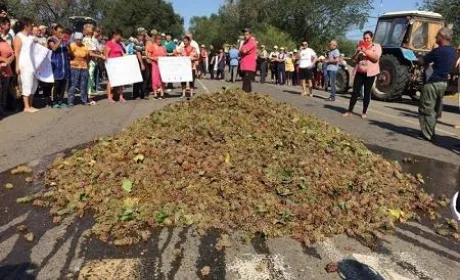 В Одеській області фермери на знак протесту вивантажили на трасу машину винограду