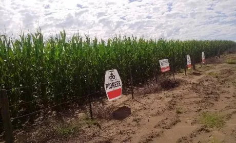 DuPont Pioneer залучає Україну до найбільшої дослідної мережі Європи