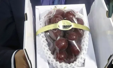В Японії гроно винограду продали за рекордні $12 тисяч
