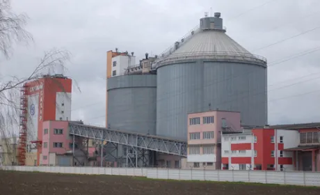 В Україні скоротиться кількість цукрових заводів, а виробництво впаде на 23-29%