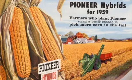 Бренд Pioneer® святкує 95 років лідерства в індустрії