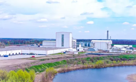 «Байєр» експортує перші партії насіння кукурудзи до ЄС