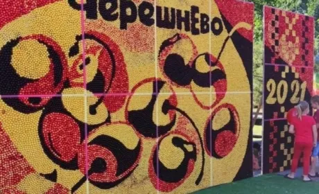 На Запоріжжі створили величезну картину з черешень