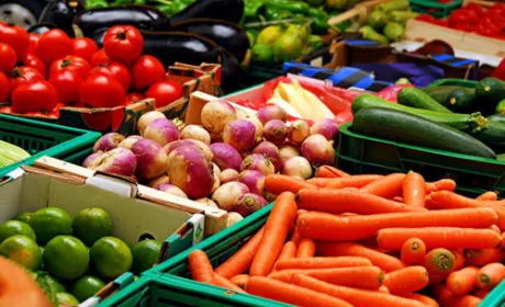 Україна увійшла до п’ятірки найбільших експортерів агропродукції до ЄС