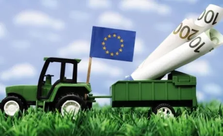 Куди веде європейських фермерів надмірна екологізація