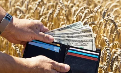 Заробітна плата в сільському господарстві зросла на 24.7%