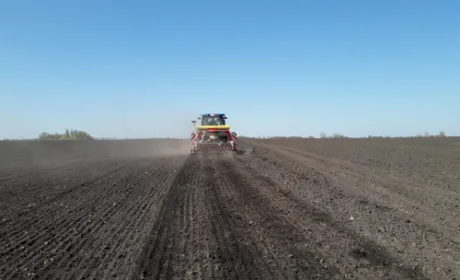 Аграрії засіяли майже 5 млн га ярими зерновими культурами
