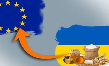 За час дії зони вільної торгівлі з ЄС експорт агропродукції з України до цього регіону збільшився в 1.5 разу, – Микола Пугачов