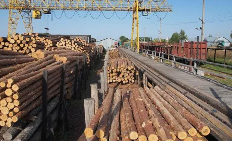 ЄС готова заплатити, щоб Україна скасувала мораторій на експорт лісу, - нардеп
