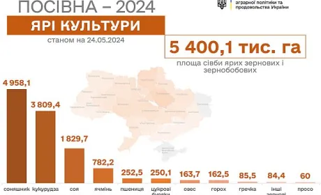 Весняна посівна закінчується: залишилось засіяти менше 4% площ