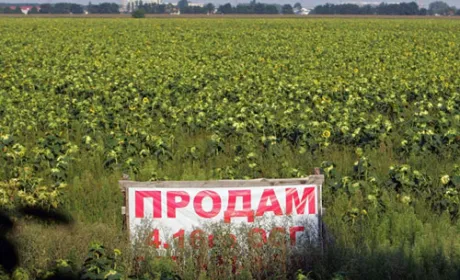 Половина українців вважають, що власник землі повинен мати право її продати, – опитування