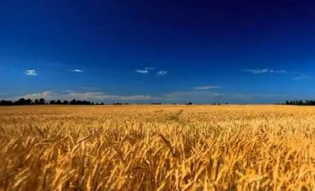 Єдиний спосіб не допустити монополії олігархів на українській землі – чесний та прозорий ринок