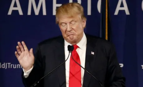Як політика Трампа вплине на глобальні інвестиції в АПК?