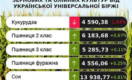 Виробники олійних культур очікують зростання цін