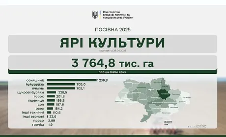 Весняна посівна 2025: засіяно 2 млн га ярих зернових та зернобобових