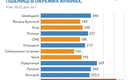 Зерно – на експорт, гроші – в офшор