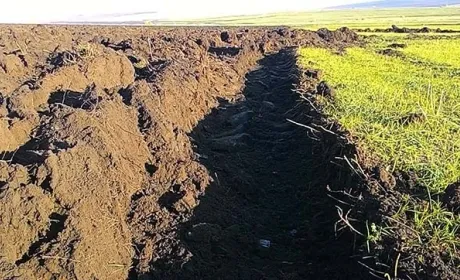 Фермери на Одещині відвойовують землі Тарутинського полігону