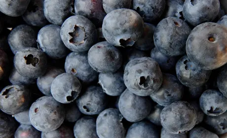 Українська лохина за перші три дні липня подешевшала більш ніж на третину