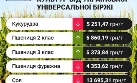 Цінові індикативи зернових та олійних за 4-10 вересня