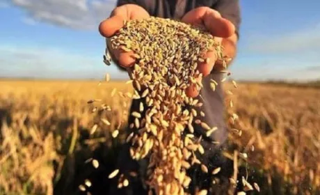 Проти аграрного сектору України вчиняється диверсія