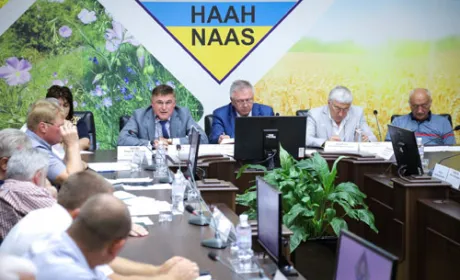 Україна має всі можливості для збільшення виробництва рису, - Шеремета