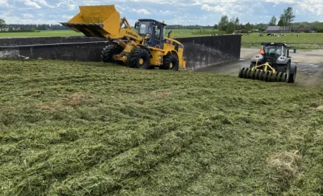 Робота в Естонії — фермери проти депортації українських заробітчан через порушення карантину