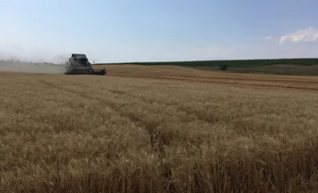 Запорізька область зібрала більше 2.2 млн тонн зерна