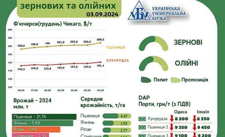 Тренд на ринку зернових та олійних культур за 26 серпня - 3 вересня
