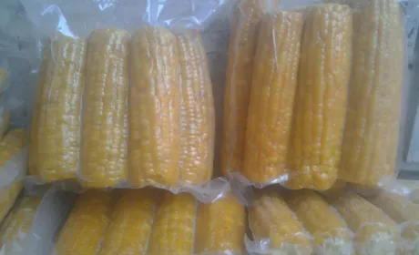 «Садкорн» планує побудувати міні-завод для випуску вакуумованих продуктів