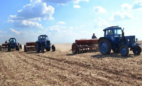 Як зміняться площі під основними культурами у 2019 році