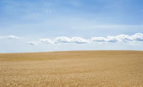 Кабмін прискорює зняття мораторію на землю
