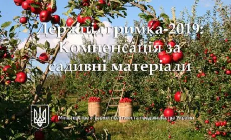 Держпідтримка-2019: Вже 114 млн грн. компенсації сплачено сільгоспвиробникам за придбаний садивний матеріал