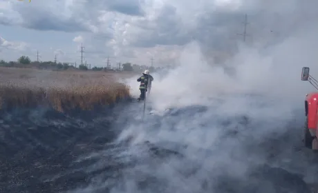 В Київській області горіло пшеничне поле