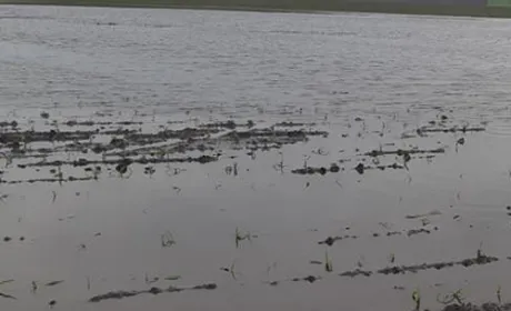 Поблизу Кременчука залило поля