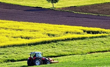 Чому старт ринку з продажу державної землі приречений на невдачу