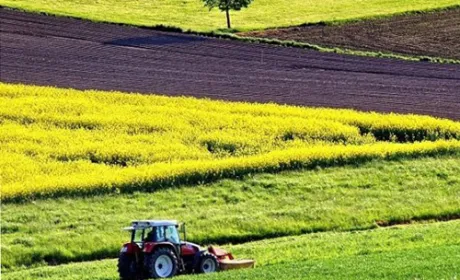 Ринок землі в Україні може почати діяти з 2020 року, - Зеленський