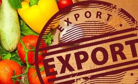 Український агроекспорт збільшився на $321 млн, - Ольга Трофімцева