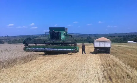 В Івано-Франківській області завершилося збирання ранніх зернових