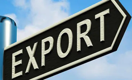 Український аграрний експорт до ЄС у першому кварталі зріс на 24.4%