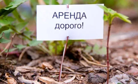 За несплату або несвоєчасну сплату за землю передбачена відповідальність