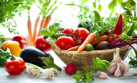 Індія лідирує в списку імпортерів агропродукції з України