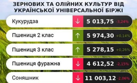 Проміжні підсумки цінових індикативів за 9-12 жовтня