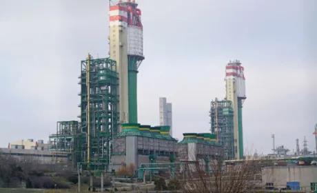 ОПЗ може перейти в управління Аграрного фонду