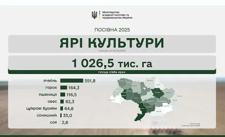 Весняна посівна: засіяно 926 тис. га ярих зернових