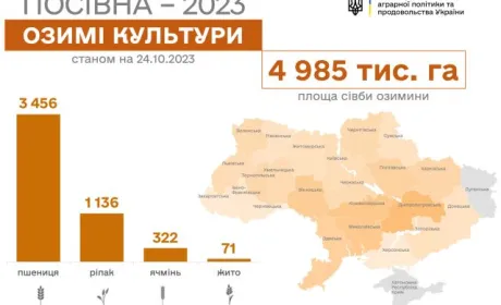 Чотири області закінчили сівбу озимих