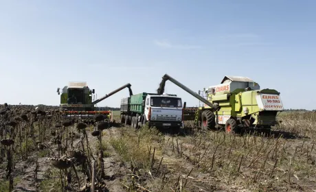 Виробництво валової продукції рослинництва у 2025 році збільшиться на 3,4 % – Юрій Лупенко