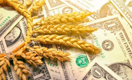 У І кварталі 2019 року Україна майже на чверть збільшила експорт агропродукції – Інститут аграрної економіки