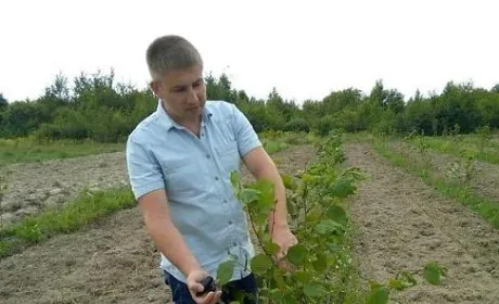 Львівський адвокат придумав власну схему для посадки горіхового саду